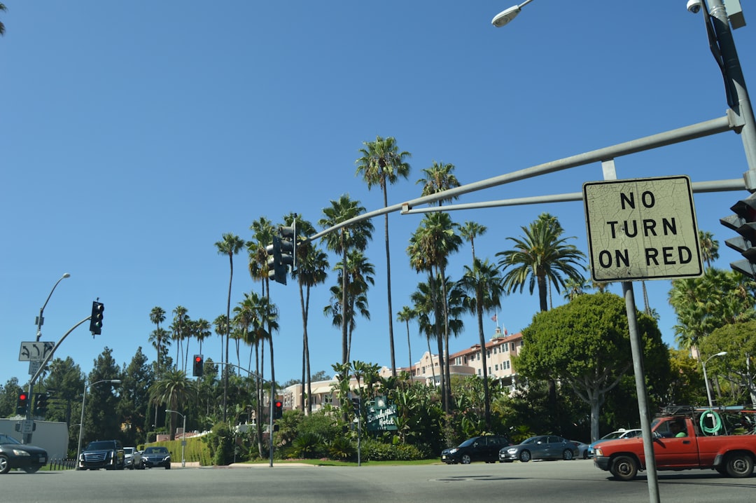 Photo VIP Travel: Destinations